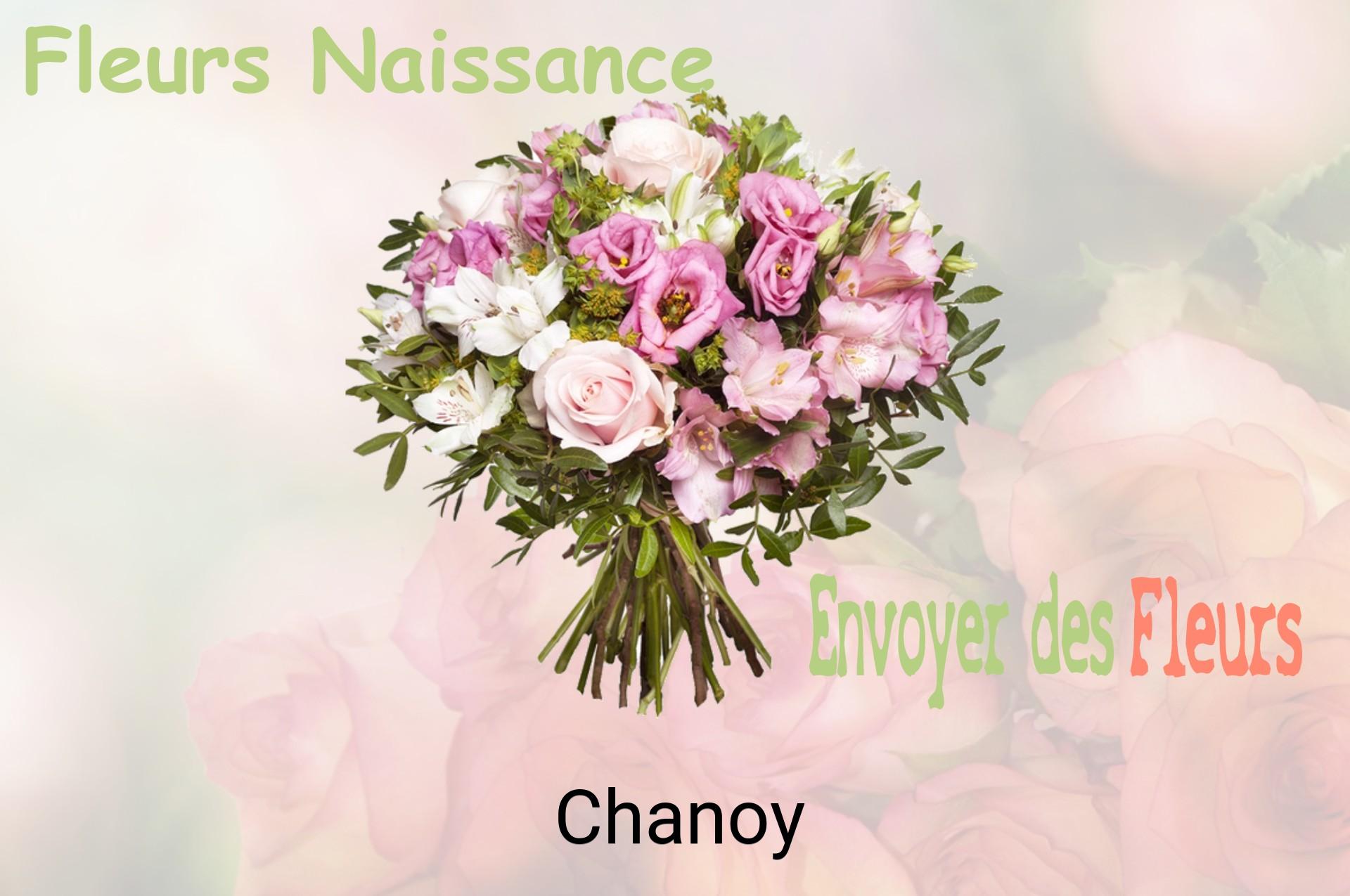 Bouquet de fleurs de naissance livré à Chanoy